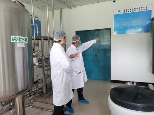 駐廠服務(wù)專班推進 虎林速度助推制藥項目提速增效的教育咨詢服務(wù)實踐