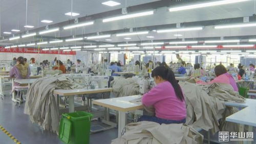 發(fā)展進行時 澄城鄉(xiāng)村振興加速跑，教育咨詢服務(wù)助力村民生活更美好